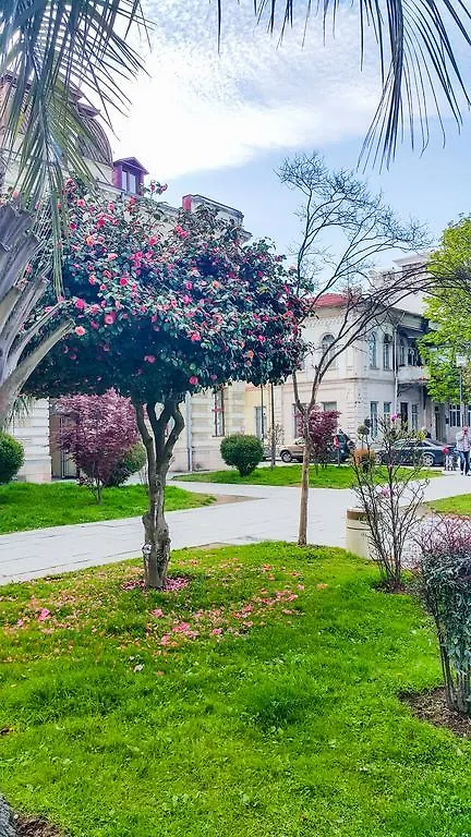 Old Town Apartment Georgia